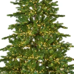Albero di Natale artificiale luminoso 3000 LED (H180 cm) Caucasia Nordmann Verde abete