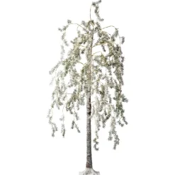 Albero luminoso 600 LED (H180 cm) Betulla innevata Bianco caldo