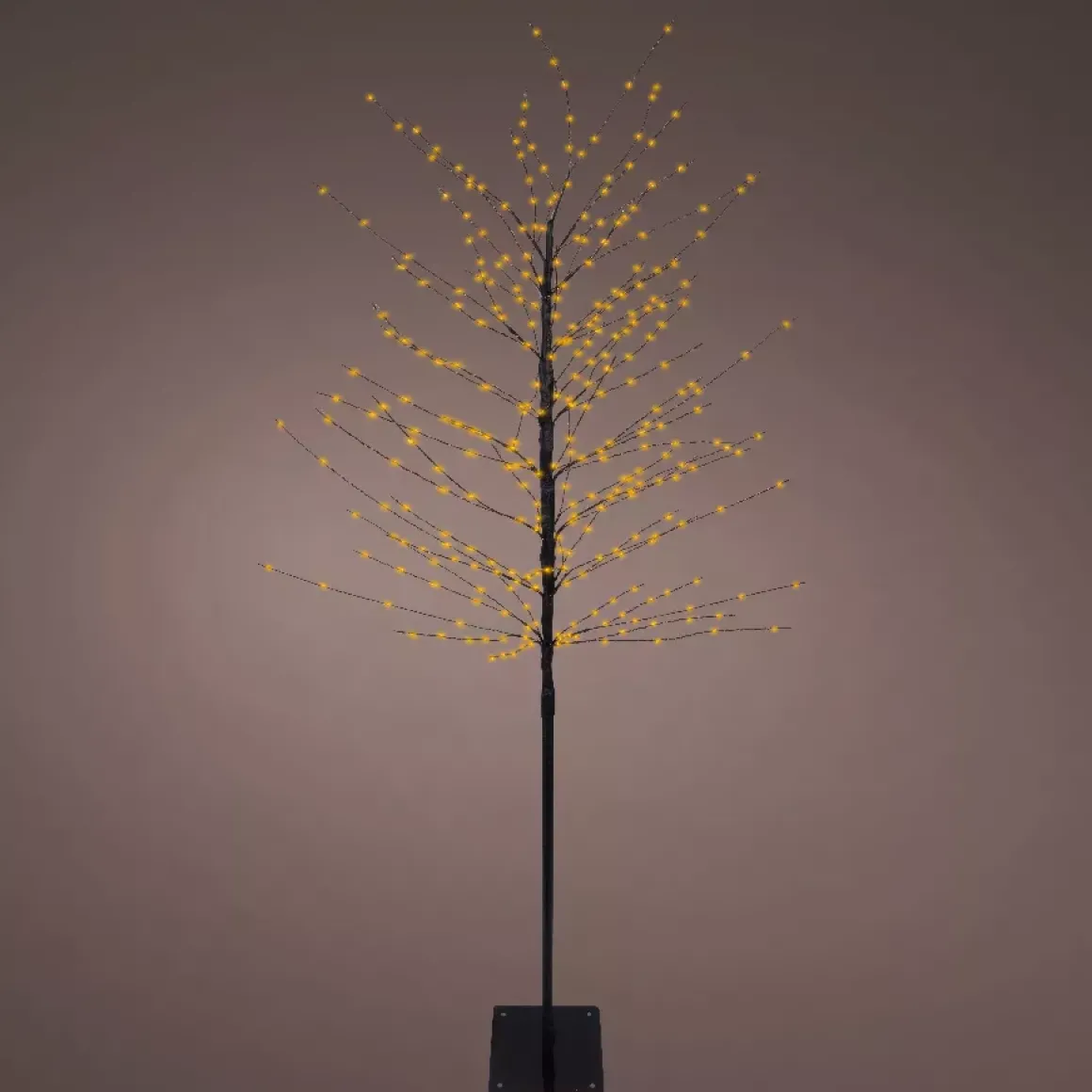 Albero luminoso 360 LED (H180 cm) Betulla invernale Bianco caldo dorato
