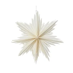 Decorazione natalizia sospesa in carta (D30 cm) Stella ghiacciata Bianca
