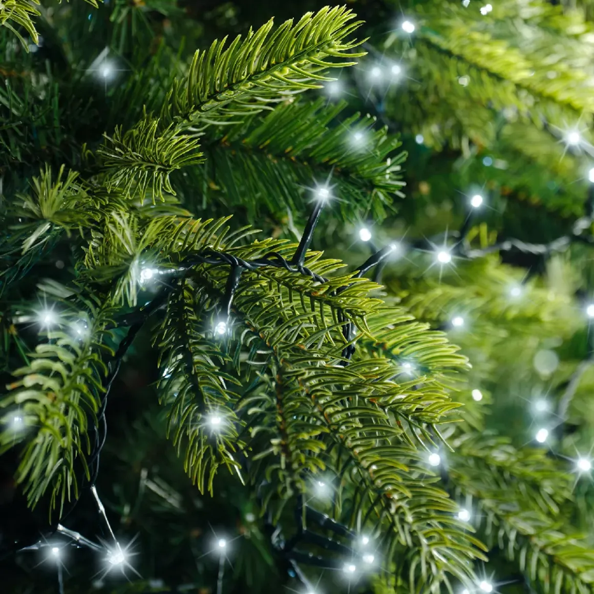 Ghirlanda luminosa Lusso 34 m Bianco freddo 1500 LED CV